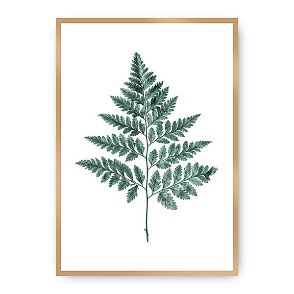 Poster Fern Emerald Green, 223-000-00, Rahmen wählen: gold günstig online kaufen