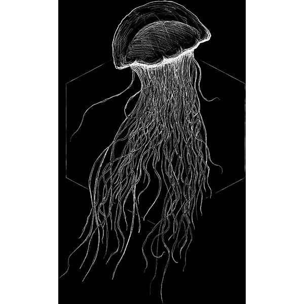 Komar Wandbild Jellyfish Black 30 x 40 cm günstig online kaufen