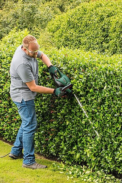 Bosch Home & Garden Elektro-Heckenschere UniversalHedgeCut günstig online kaufen