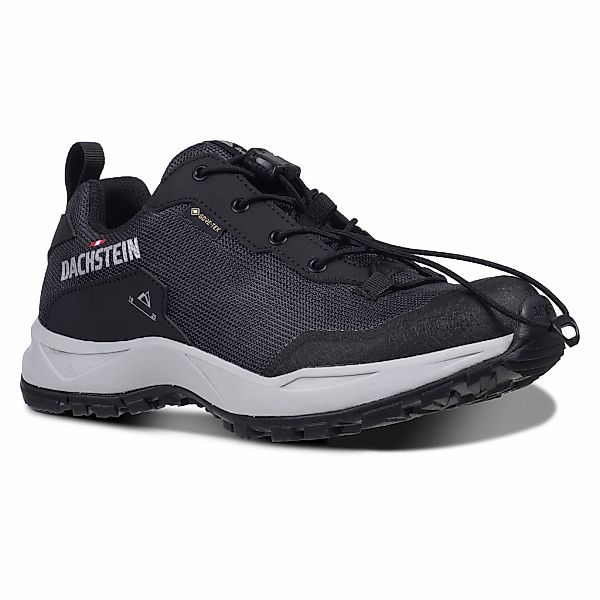 Dachstein Wanderschuh "DELTA ASCENT GORE-TEX WMN", wasserdicht günstig online kaufen