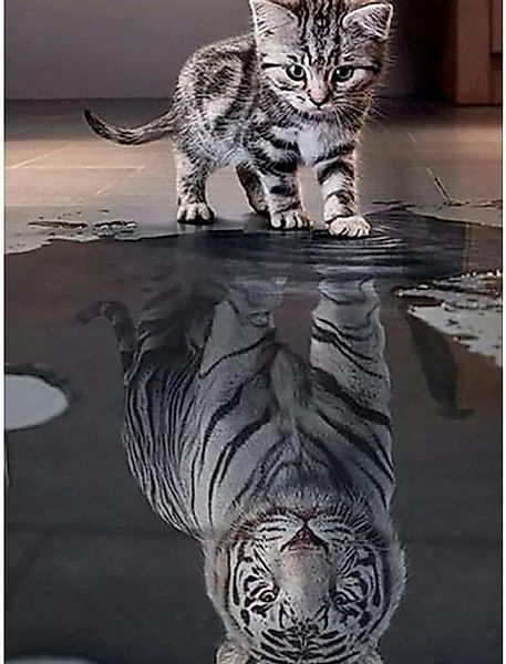 LA CUTE Malen nach Zahlen 5D Diamant Painting Set DIY-Dekoration Katze Spie günstig online kaufen