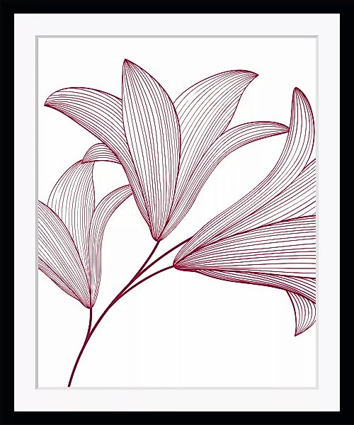 queence Bild "Imsa", Blumen, (Set), gerahmt, Blumen günstig online kaufen