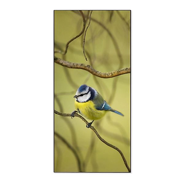 Banjado Magnettafel 37x78cm Magnetwand  Schwarz Aus Metall Magnetpinnwand P günstig online kaufen