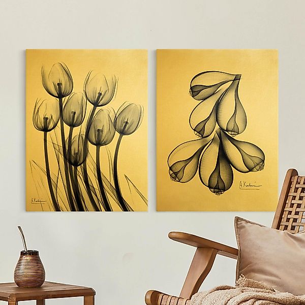 2-teiliges Leinwandbild X-Ray - Tulpen & Feigenschalen günstig online kaufen