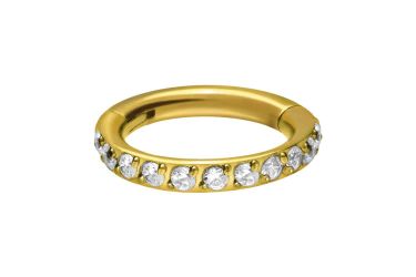 PIERCINGLINE Nasenpiercing Titan Segmentring Clicker EINGEFASSTE günstig online kaufen