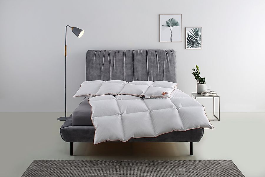 RIBECO Daunenbettdecke "Richard, Bettdecken für Sommer oder Winter, Made in günstig online kaufen