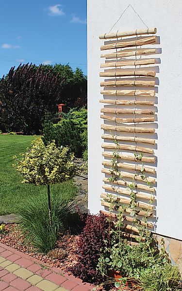 dobar Rankhilfe, LxB: 50x200 cm, Haselnuss günstig online kaufen
