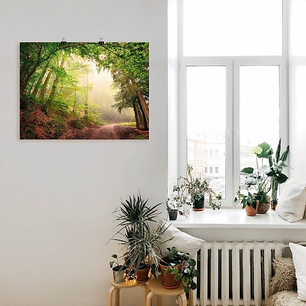 Artland Wandbild "Natürliche Torbögen durch Bäume", Wald, (1 St.), als Alub günstig online kaufen