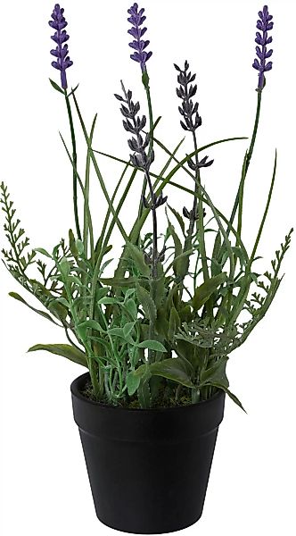 Creativ green Kunstpflanze "Lavendel" günstig online kaufen