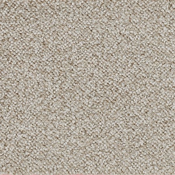 Bodenmeister Teppichboden »Juno, Velours - meliert, Made in Belgium«, recht günstig online kaufen