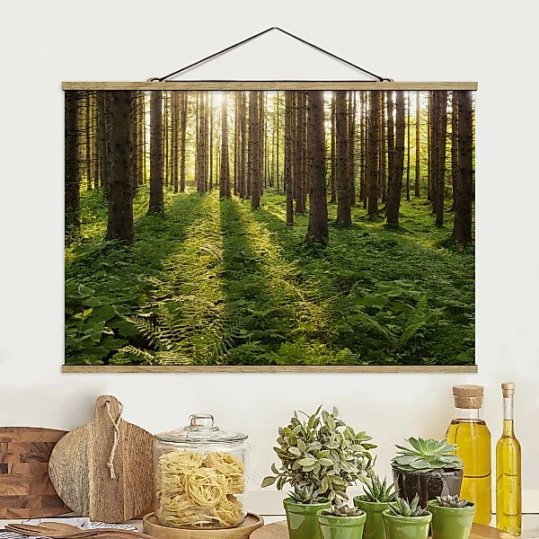 Stoffbild Wald mit Posterleisten - Querformat Sonnenstrahlen in grünem Wald günstig online kaufen