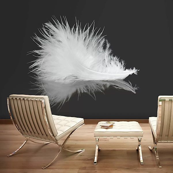 Fototapete - White Feather günstig online kaufen
