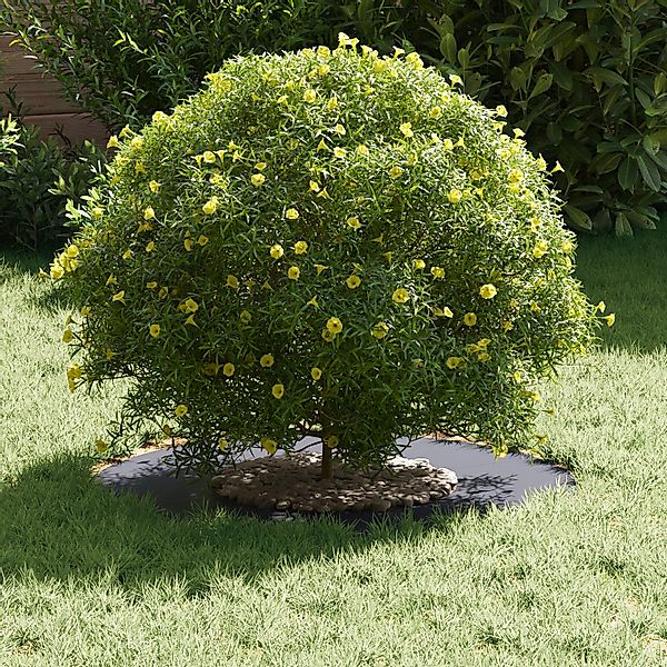 vidaXL Blumentopf Anthrazit Pflanzer Anthrazit Kunststoff günstig online kaufen