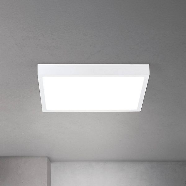 LED-Deckenlampe Disc, weiß Länge 40 cm CCT Metall/Kunststoff günstig online kaufen