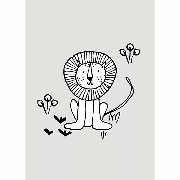 Komar Poster Scribble Lion Löwe B/L: ca. 50x70 cm günstig online kaufen