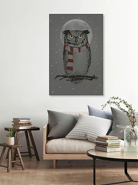 Poster / Leinwandbild - Winter Owl günstig online kaufen