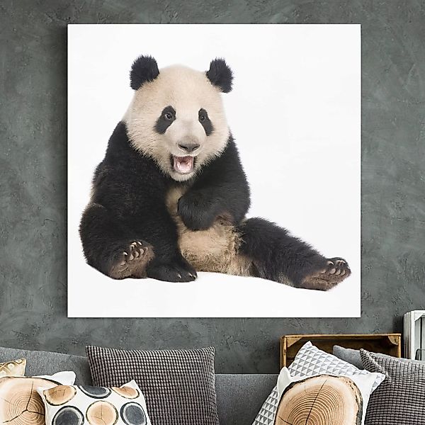 Leinwandbild Tiere - Quadrat Lachender Panda günstig online kaufen