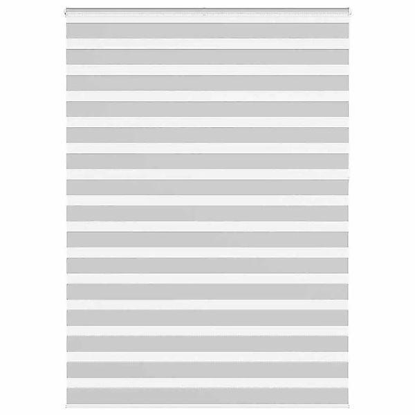 vidaXL Doppelrollo Hellgrau 160x230 cm Stoffbreite 155,9 cm Polyester 40145 günstig online kaufen