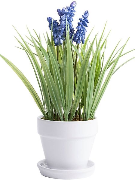 Kunstblume Muskari getopft Muskari, Botanic-Haus, Höhe günstig online kaufen