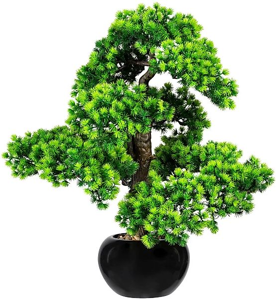Creativ green Kunstbonsai "Bonsai Lärche" günstig online kaufen
