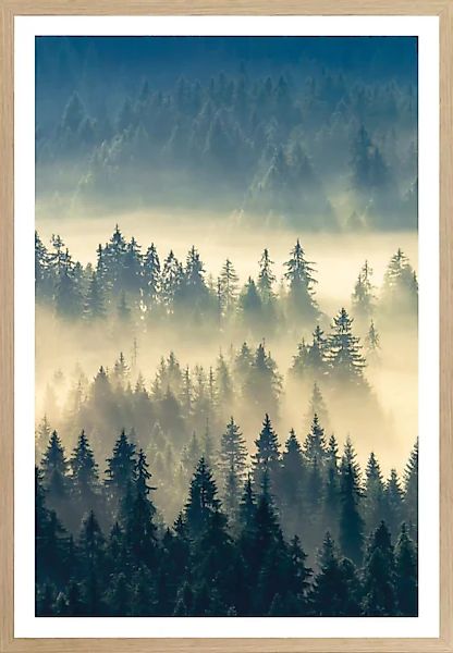 Bönninghoff Bild mit Rahmen, Wald, (1 St.), BxH: 50x70 cm günstig online kaufen
