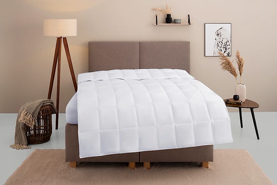OTTO home Daunenbettdecke "Marseilles Bettdecke 135x200 cm und 155x220 cm" günstig online kaufen