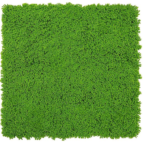 Jangal Wandpaneel Modular Wall Lime Green Design Moos 52 x 52 cm günstig online kaufen
