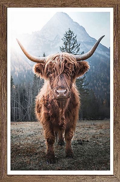Bönninghoff Bild mit Rahmen, Berge, Hochlandrind, Landschaft, Natur, Tiere günstig online kaufen