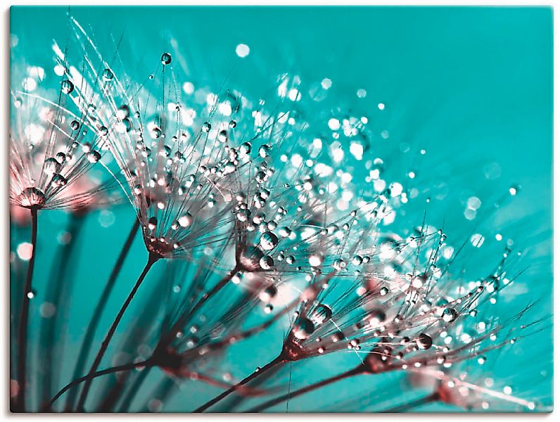 Artland Leinwandbild "Glitzernde Pusteblume I" Blumen 1 Stk. tlg. als Leinw günstig online kaufen
