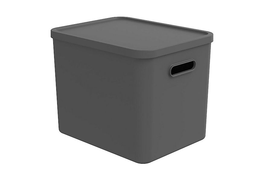 ROTHO Aufbewahrungsbox ALBULA, 27 Liter, Anthrazit, Kunststoff, (1 St), mit günstig online kaufen