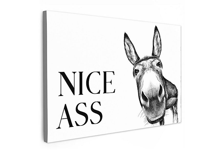 OneMillionCanvasses® Leinwandbild Zitat - Esel - Dieren - Nice ass - Sprüch günstig online kaufen