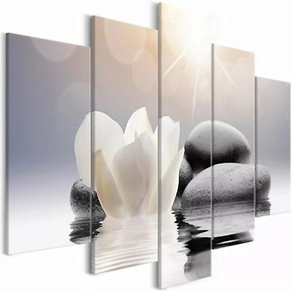 artgeist Wandbild Natural Lightness (5 Parts) Wide grau/beige Gr. 200 x 100 günstig online kaufen
