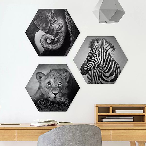 3-teiliges Hexagon-Alu-Dibond Bild Babytiere günstig online kaufen