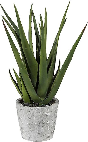 Künstliche Zimmerpflanze Aloe im Zementtopf Sukkulente, günstig online kaufen
