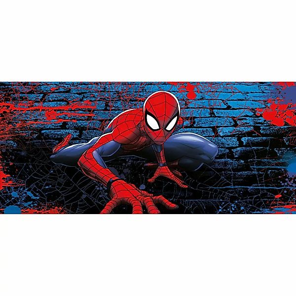 Sanders & Sanders Poster Spider-Man Rot und Blau 0,9 x 2,02 m 601084 günstig online kaufen