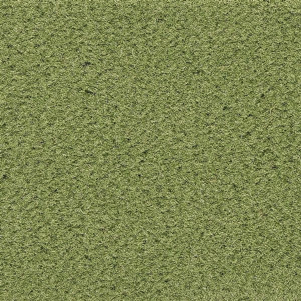 Vorwerk Teppichboden »Passion 1021 (Bingo), Velours - Uni Farben, Made in G günstig online kaufen