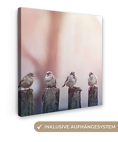 OneMillionCanvasses® Leinwandbild Vögel - Spatzen - günstig online kaufen