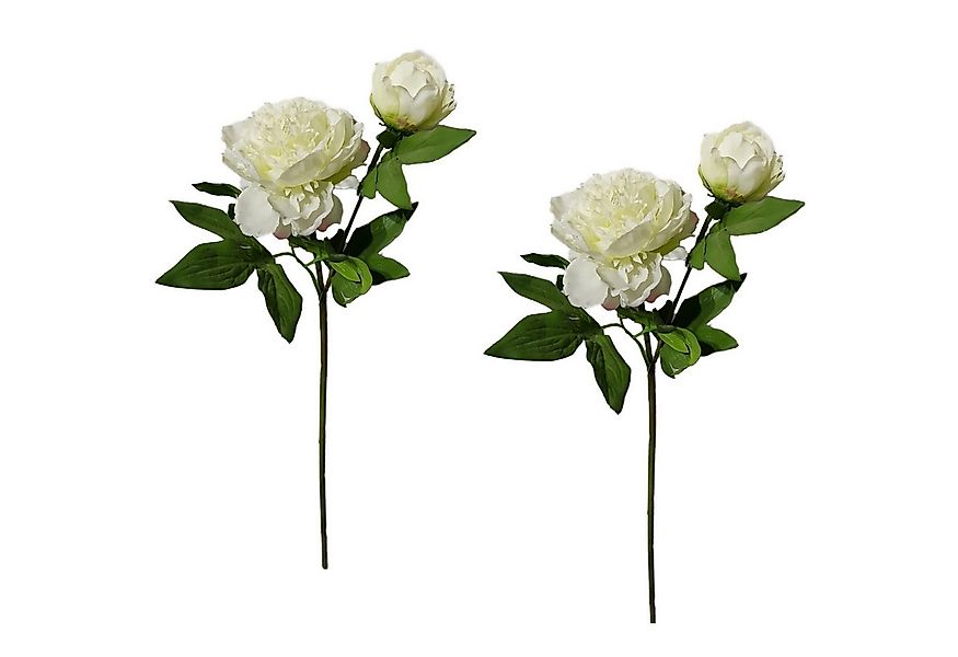 Kunstblume Pfingstrose 2er Set Weiß Flora, HTI-Living, Höhe 23 cm, Kunstblu günstig online kaufen