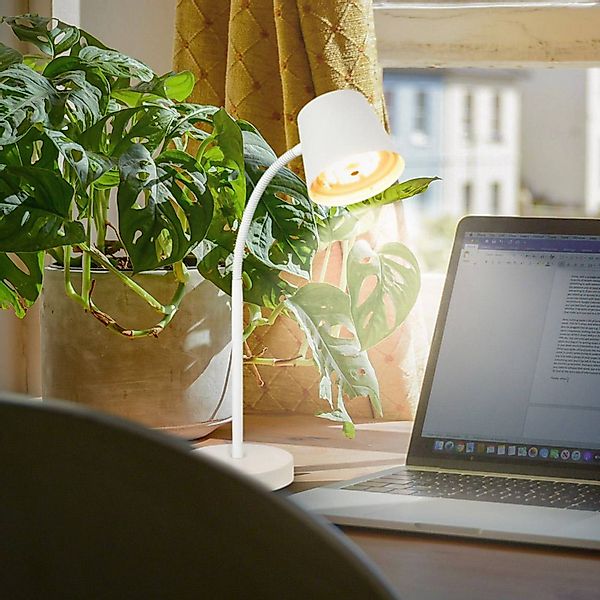 Briloner Leuchten Schreibtischleuchte »BIWO« günstig online kaufen
