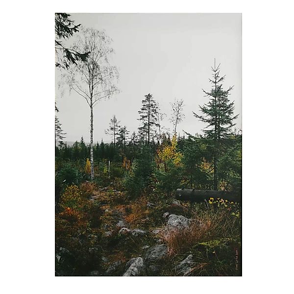 Norrland Poster 50 x 70cm grau-weiß günstig online kaufen