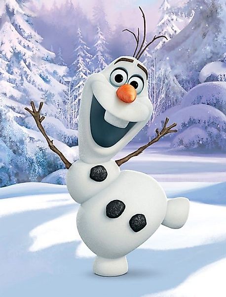 Wohndecke Disney Frozen Elsa Anna Olaf günstig online kaufen