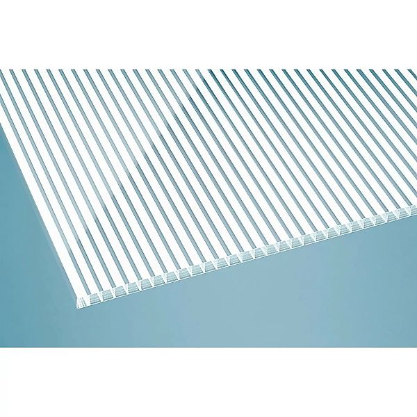 Gutta Terrassendach Prem. Anthrazit Stegpl. PC Streifen Weiß 5.100 mm x 5.0 günstig online kaufen