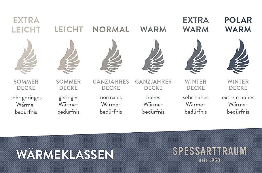 SPESSARTTRAUM Daunenbettdecke »Wildente Bettdecken 135x200cm & weitere Größ günstig online kaufen