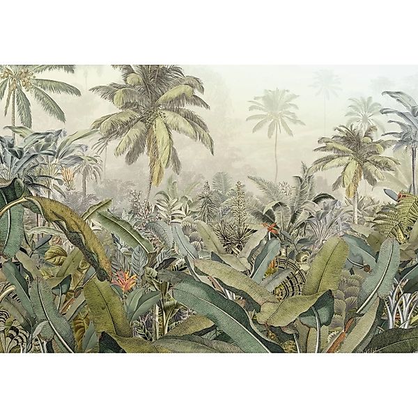 Komar Fototapete Amazonia Grün 368 x 248 cm 611140 günstig online kaufen