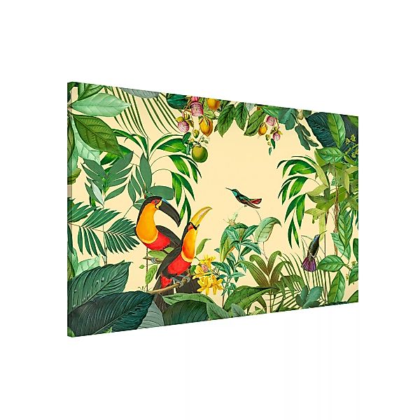 Magnettafel Vintage Collage - Vögel im Dschungel günstig online kaufen
