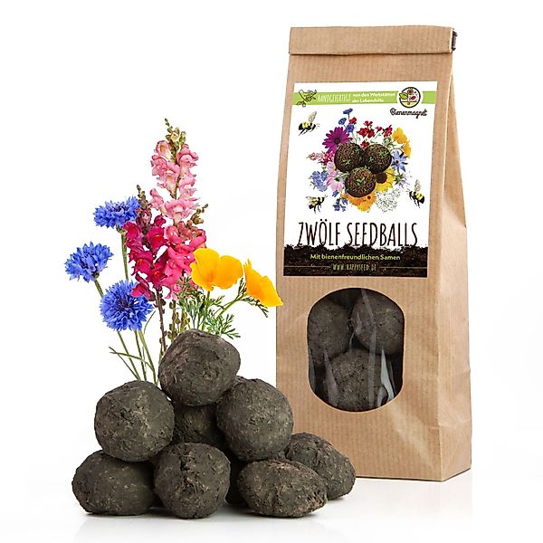 Bienenmagnet Blumensamen 12x Samenbomben (bunte Bienenweide) günstig online kaufen