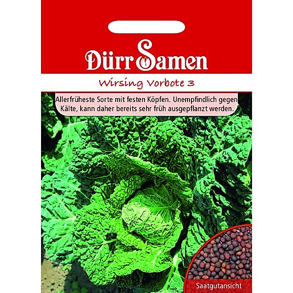 Dürr Samen Wirsing Vorbote Saatgut günstig online kaufen