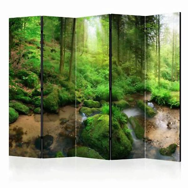artgeist Paravent Humid Forest II [Room Dividers] mehrfarbig Gr. 225 x 172 günstig online kaufen