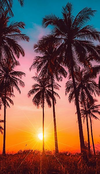 good morning Strandtuch "Bora Bora" Mikrofaser, 100x180, Schnelltrocknend, günstig online kaufen