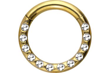 PIERCINGLINE Nasenpiercing Chirurgenstahl Segmentring Clicker KRISTALLE günstig online kaufen